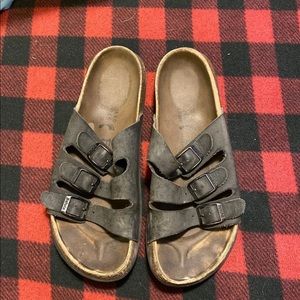 Betula / Birkenstock